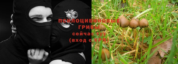 прущая мука Бронницы