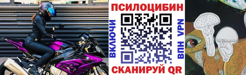 сколько стоит  Нытва  Галлюциногенные грибы Psilocybe 